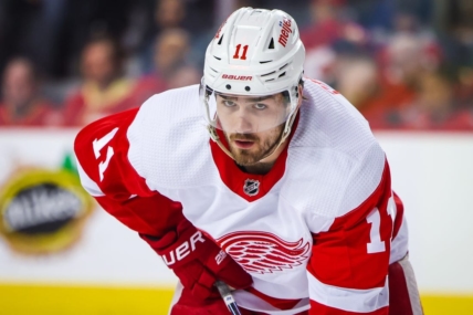 Feb 16, 2023; Calgary, Alberta, CAN; Detroit Red Wings right wing Filip Zadina (11) against the Calgary Flames during the second period at Scotiabank Saddledome. Mandatory Credit: Sergei Belski-USA TODAY Sports