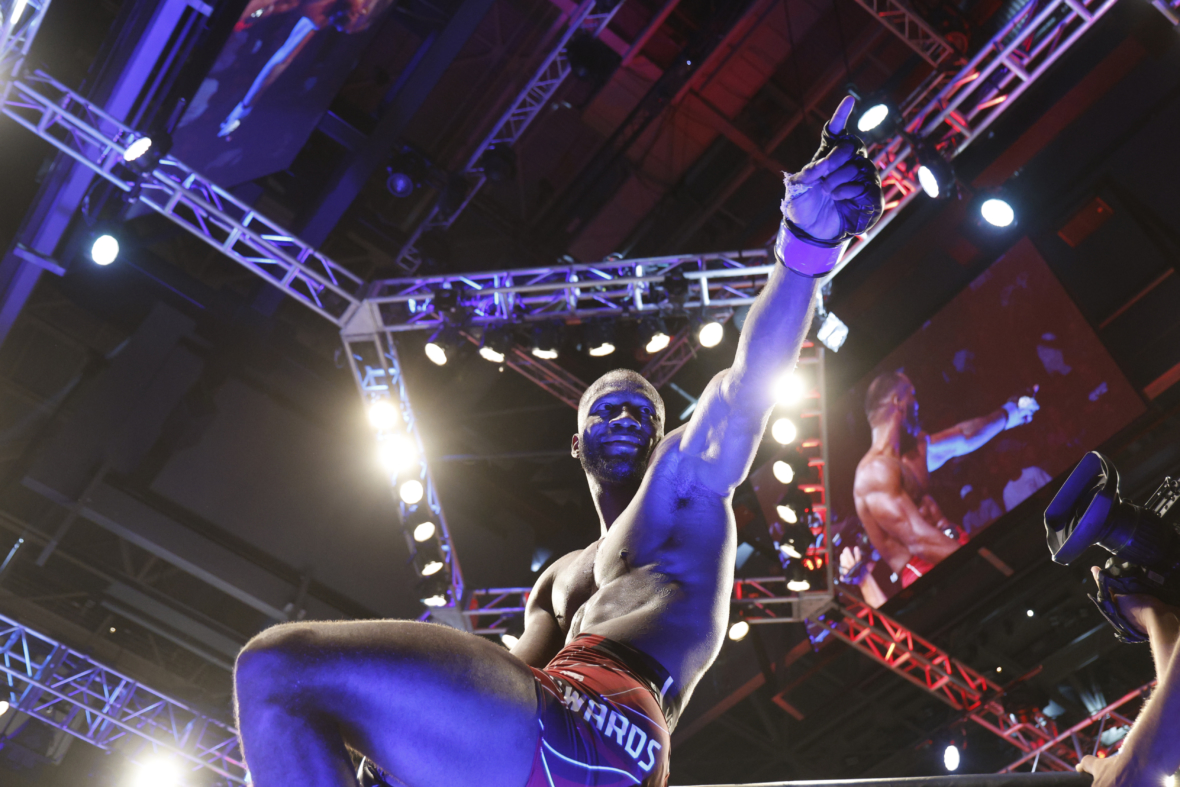 ufc pound for pound rankings