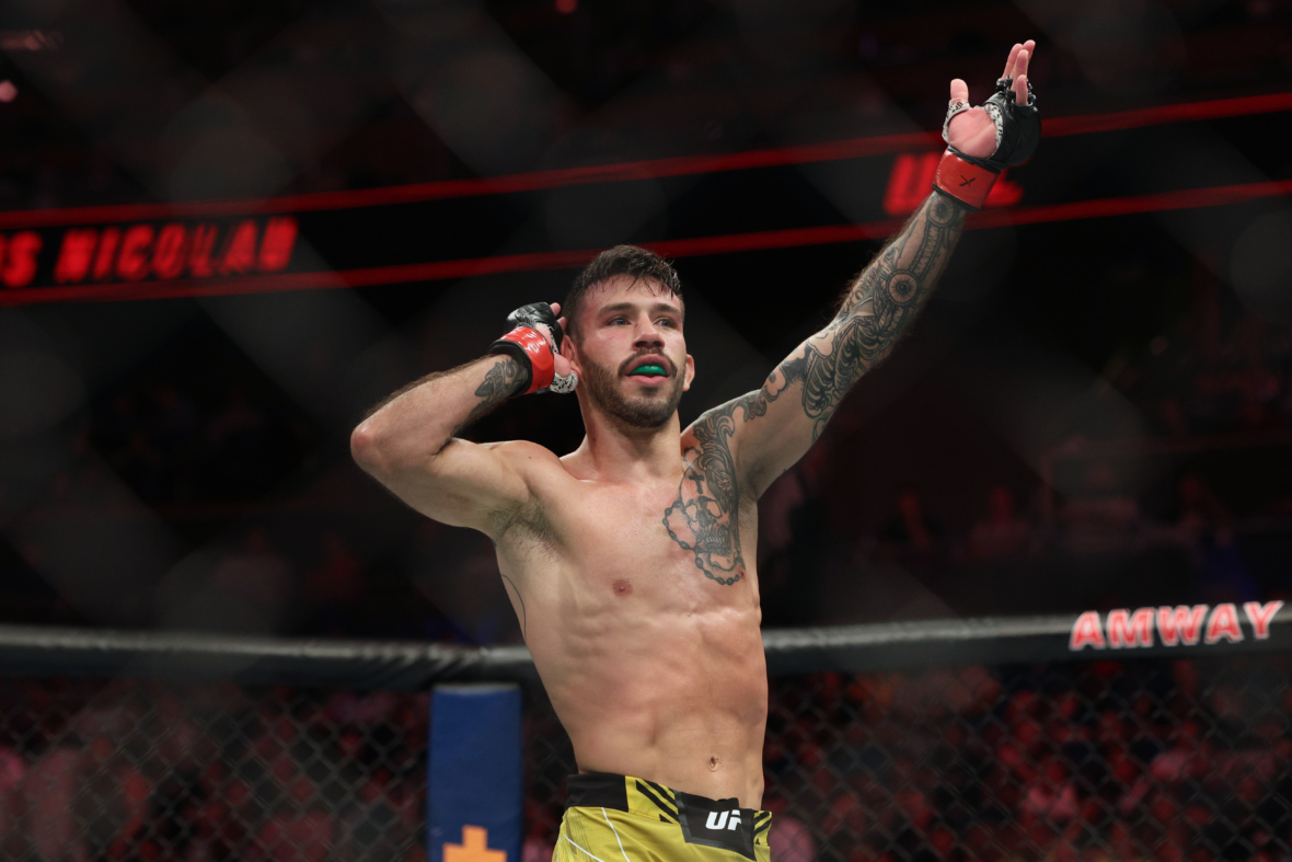 ufc flyweight rankings